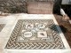Outdoor indoor pebble mosaic patterns Amphitrite