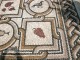 Outdoor indoor pebble mosaic patterns Amphitrite