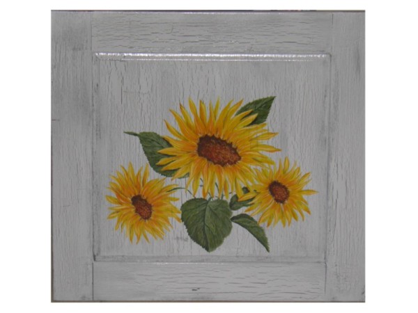 Doors Kitchen Traditional retro obsolete