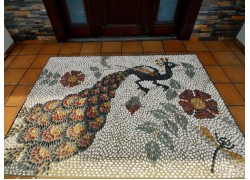 Pebble peacock architectural project