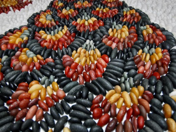 Pebble peacock architectural project