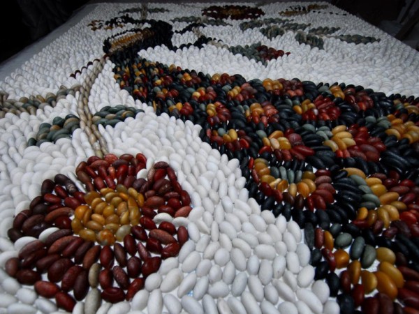 Pebble peacock architectural project