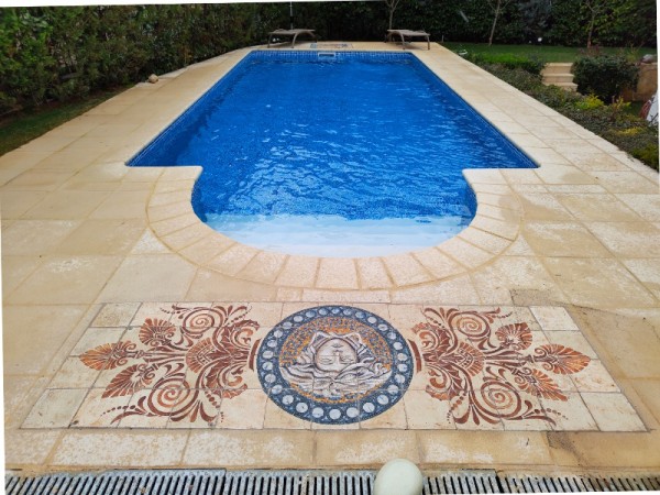 Έργο Τέχνης πλακάκια δαπέδου τοίχου τραβερτίνο ζωγραφική ψηφιδωτό Μέδουσα