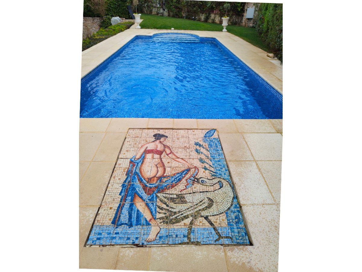 Πλακάκια δαπέδου τοίχου τραβερτίνο ζωγραφική ψηφιδωτη η Λήδα και ο Δίας