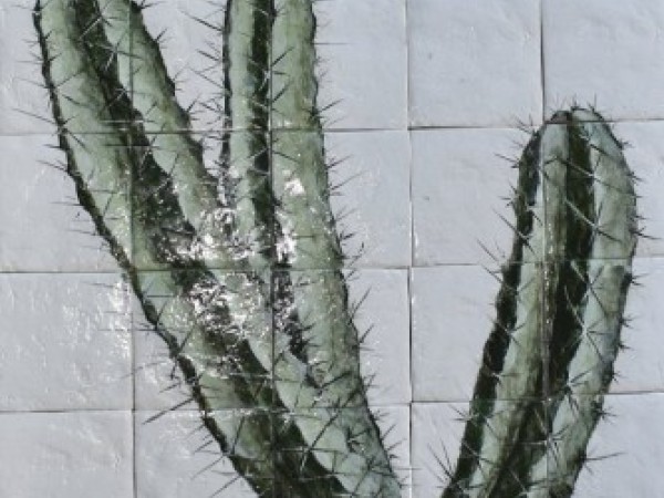 Travertine Handmade Cactus Show