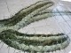 Travertine Handmade Cactus Show